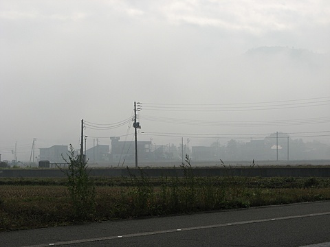 朝