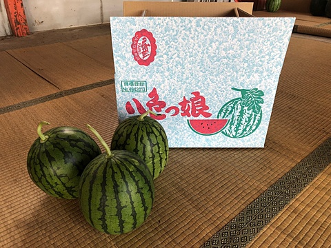 やいろすいか１