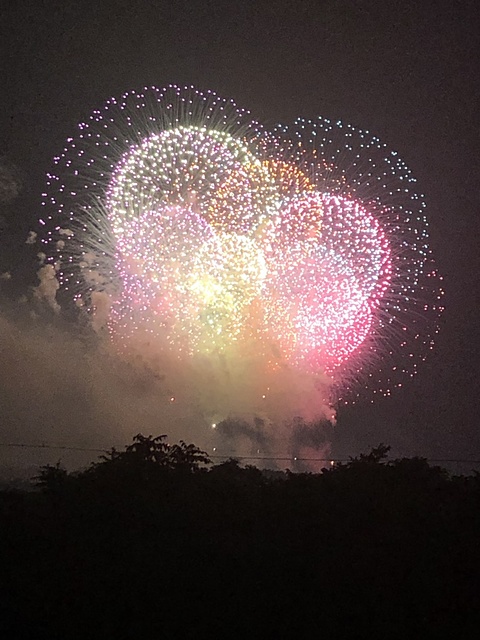 ながおかはなび１