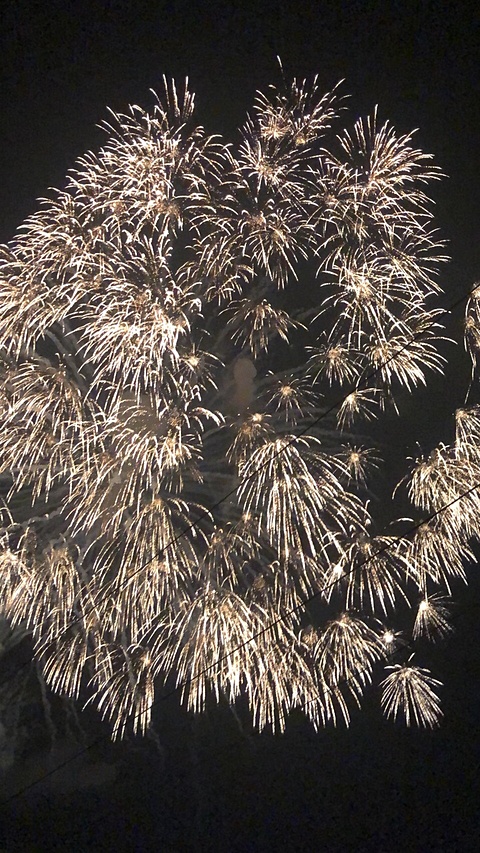 ながおかはなび２